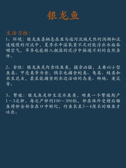 銀龍魚品相圖解 銀龍魚品相圖解 龍魚百科 第6張