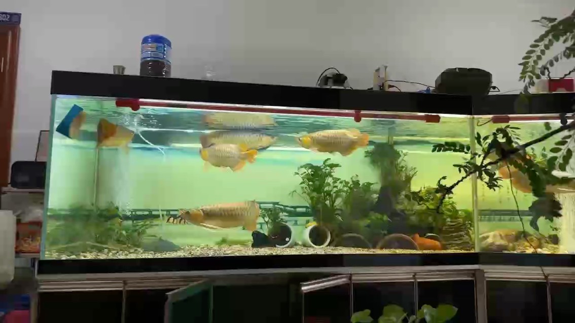 求百事之榮，不如免一事之辱；邀千人之歡，不如釋一人之怨。春有百花秋有月，夏有涼風冬有雪；若無閑事掛心頭，便是人間好時節。 左宗棠題于江蘇無錫梅園的詩句：“發上等愿，結中等緣，享下等福；擇高處立，尋平處住，向寬處行。” 求百事之榮，不如免一事之辱；邀千人之歡，不如釋一人之怨。春有百花秋有月，夏有涼風冬有雪；若無閑事掛心頭，便是人間好時節。 左宗棠題于江蘇無錫梅園的詩句：“發上等愿，結中等緣，享下等福；擇高處立，尋平處住，向寬處行。” 龍魚論壇