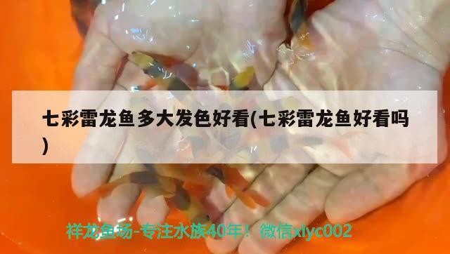 秦州區美之海水族館（秦州區美之海水族館電話）