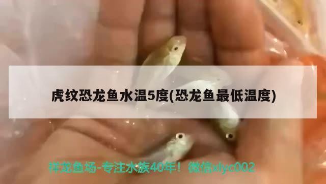 秦州區美之海水族館（秦州區美之海水族館電話）