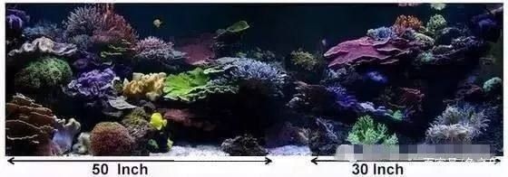 魚缸美術:ai繪畫軟件制作魚缸美術畫的色彩搭配建議魚缸美術 魚缸百科 第5張 魚缸美術:ai繪畫軟件制作魚缸美術畫的色彩搭配建議魚缸美術 魚缸美術:ai繪畫軟件制作魚缸美術畫的色彩搭配建議魚缸美術 魚缸百科 第5張