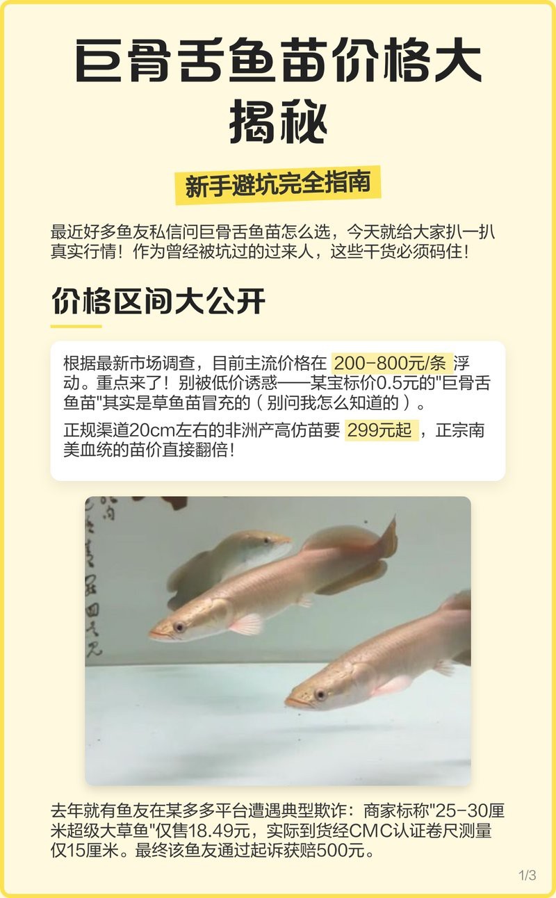 金頭過背60元一包貴嗎