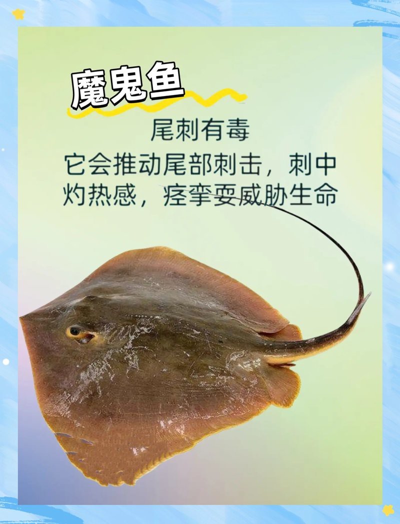 十大最毒海魚圖片 十大最毒海魚圖片 龍魚論壇 第8張