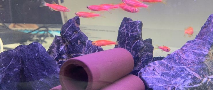 畫法幾何迷你懶人魚缸：畫法幾何迷你懶人魚缸畫法幾何迷你懶人魚缸