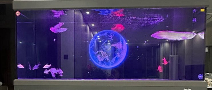 森森魚缸1.8米型號及價格