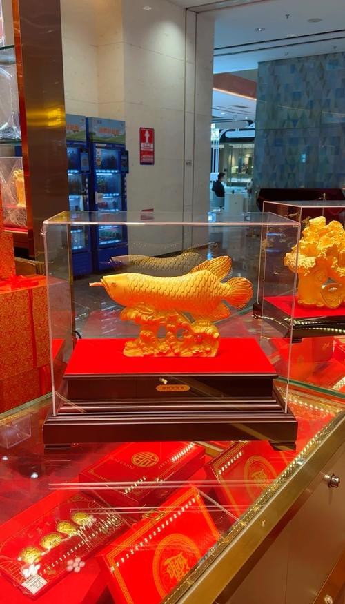 給我一些金龍魚擺件的圖片