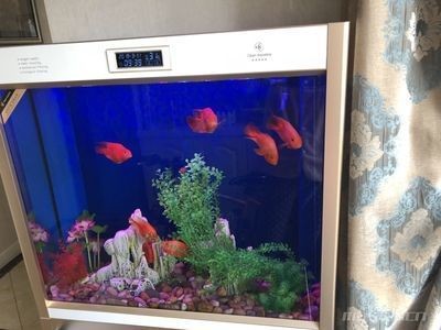 魚缸哪個品牌質量最好（魚缸哪個品牌質量最好魚缸哪個品牌質量最好）