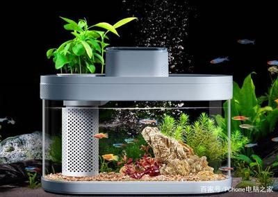 畫法幾何魚缸水泵不工作：畫法幾何魚缸水泵不工作可能由多種原因引起