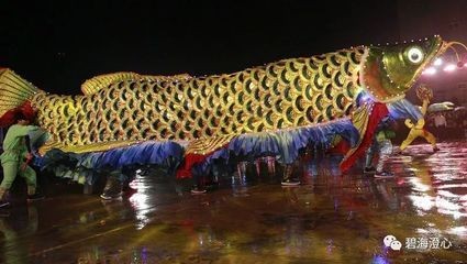 潮汕龍魚 龍魚百科 第1張 潮汕龍魚 潮汕龍魚 龍魚百科 第1張