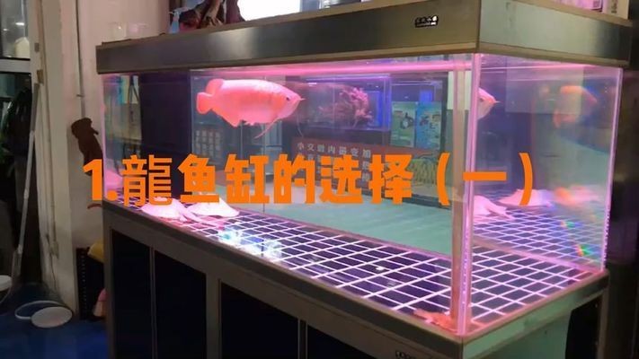 龍魚缸配置要求圖片：關于龍魚缸配置要求的一些詳細信息