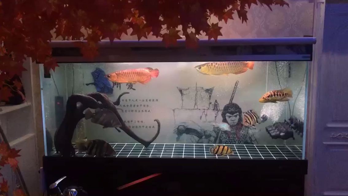 海鹽可以用來消毒魚缸消毒魚缸，海鹽可以用來消毒殺菌：海鹽可以消毒魚缸嗎？