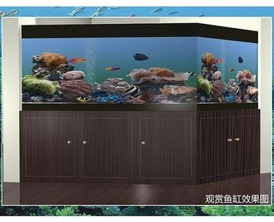 海鮮魚缸效果圖設計：海鮮魚缸效果圖提供了多種設計靈感和實用建議幫助您
