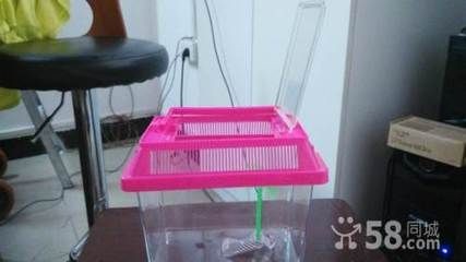 武漢漢陽區魚缸風水學在武漢市場西區停車場樓梯間4號：武漢漢陽區魚缸定制 武漢漢陽區魚缸風水學在武漢市場西區停車場樓梯間4號：武漢漢陽區魚缸定制 魚缸百科 第2張