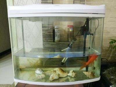 智能魚(yú)缸系統(tǒng)故障排查方法：智能魚(yú)缸常見(jiàn)故障及其排查方法