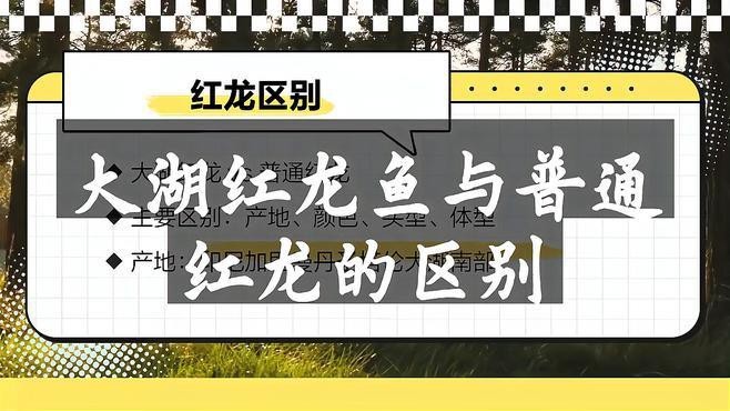 海景坊魚缸安裝視頻：海景坊魚缸安裝視頻教程