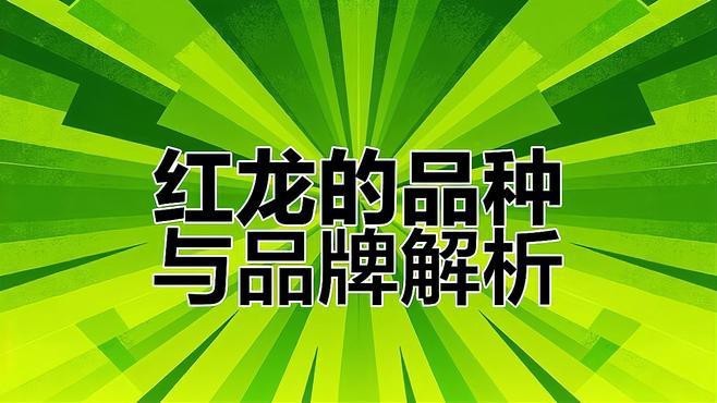 海景坊魚缸安裝視頻：海景坊魚缸安裝視頻教程