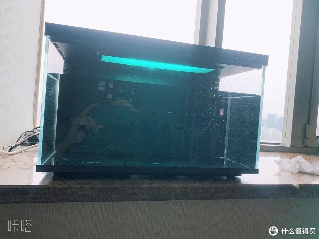 魚缸里的爸爸：我把爸爸養在魚缸里