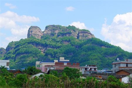 夢魚缸魚死了什么預兆：周公解夢：夢見魚缸里的魚死亡預示著什么？