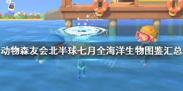 動森鱟多少錢一只