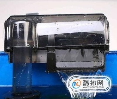 魚缸清潔技巧大公開:底部過(guò)濾的魚缸如何清理糞便 魚缸百科 第3張 魚缸清潔技巧大公開:底部過(guò)濾的魚缸如何清理糞便 魚缸清潔技巧大公開:底部過(guò)濾的魚缸如何清理糞便 魚缸百科 第3張