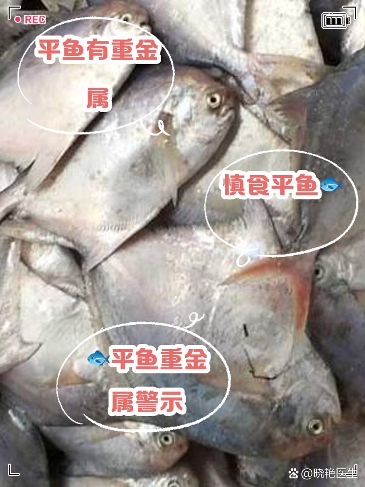 最旺財的九魚圖 最旺財的九魚圖 龍魚論壇 第3張