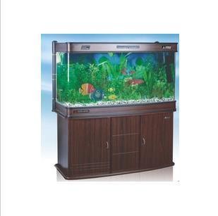 市中區漁緣水族用品店