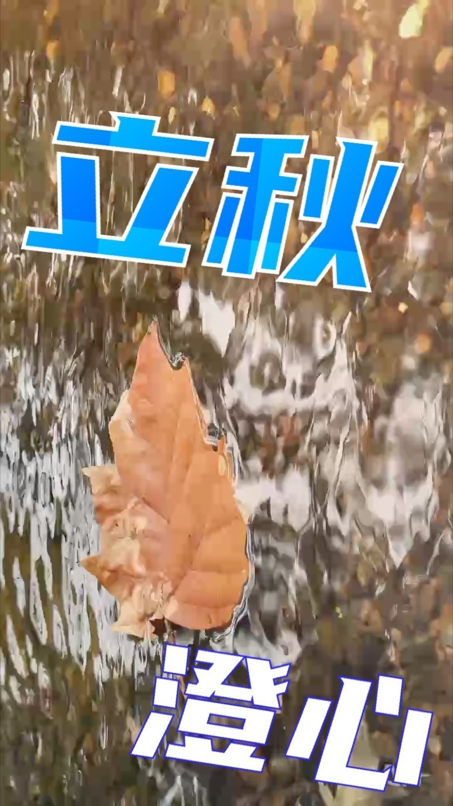 匠器隱于景，<strong><mark>清流</mark></strong>自成詩