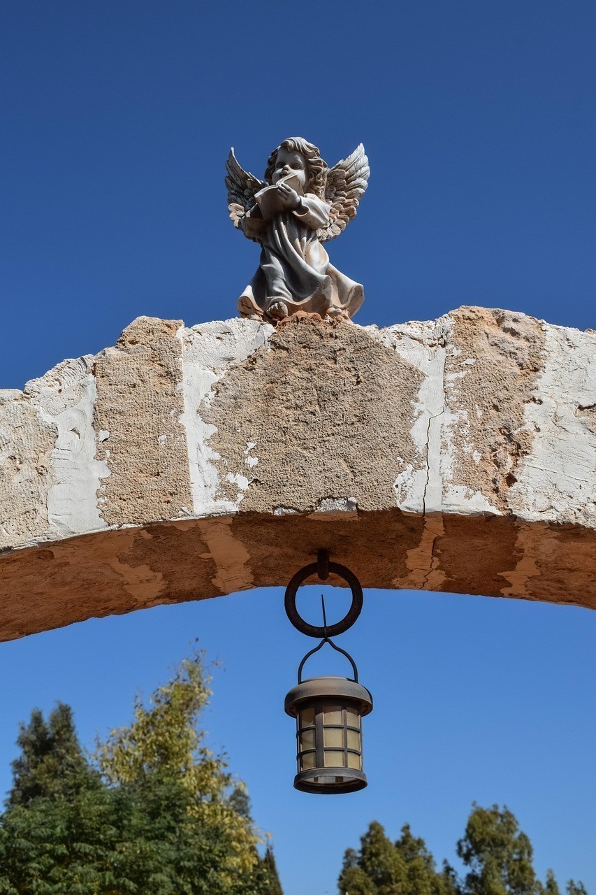 紅龍頭像在風(fēng)水文化中的具體寓意是什么？