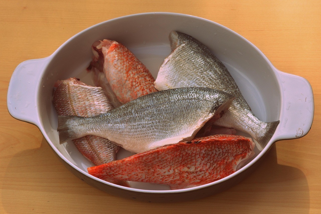 哪里可以購買到正宗的古典過背金龍魚？ 哪里可以購買到正宗的古典過背金龍魚？ 水族問答 第1張