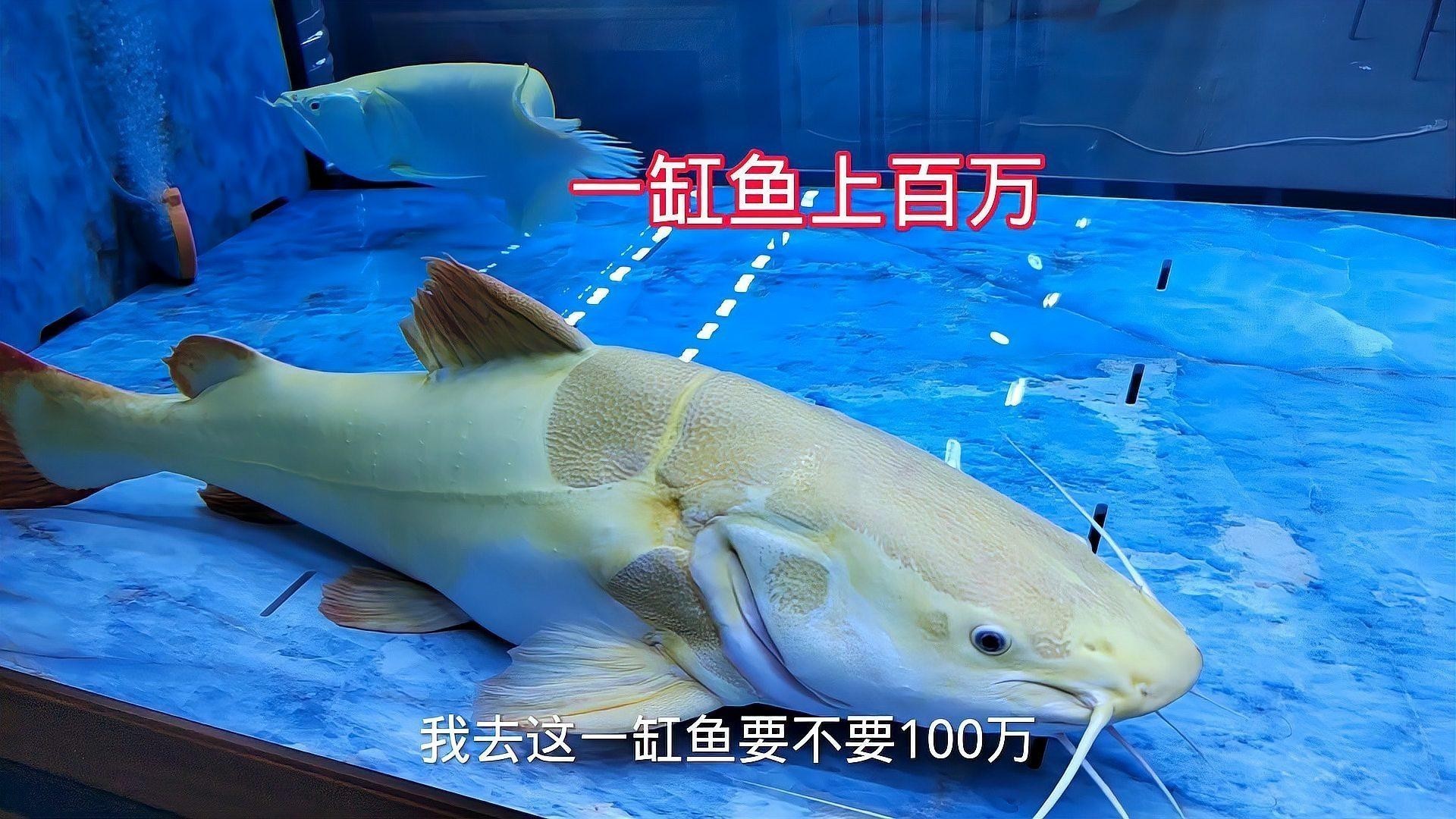 九龍坡區一城花開花店