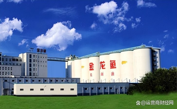 金龍魚高管團隊中有多少人內部晉升？