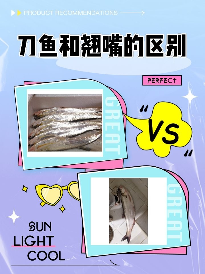 銀龍魚和翹嘴魚的區別是什么 銀龍魚和翹嘴魚的區別是什么 龍魚百科 第6張