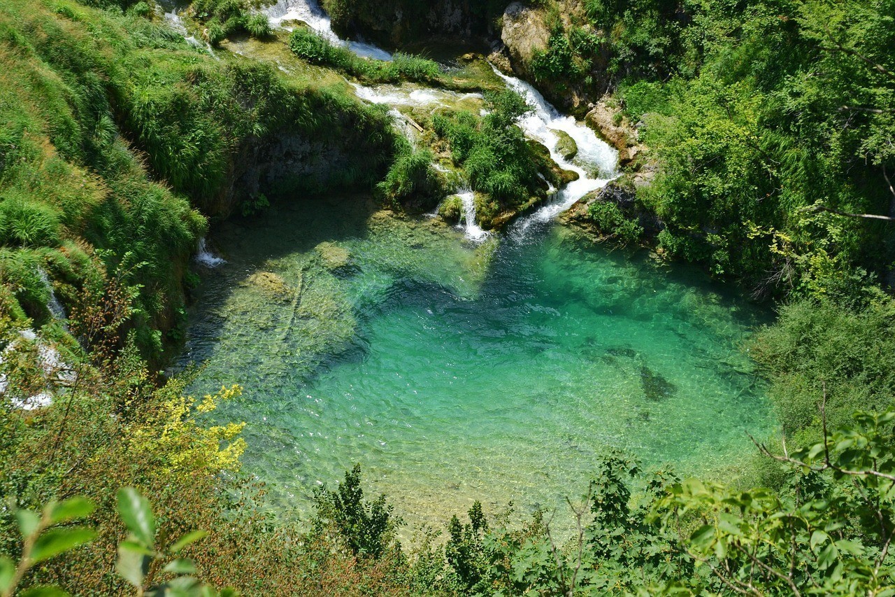 讓魚缸水變清澈小方法
