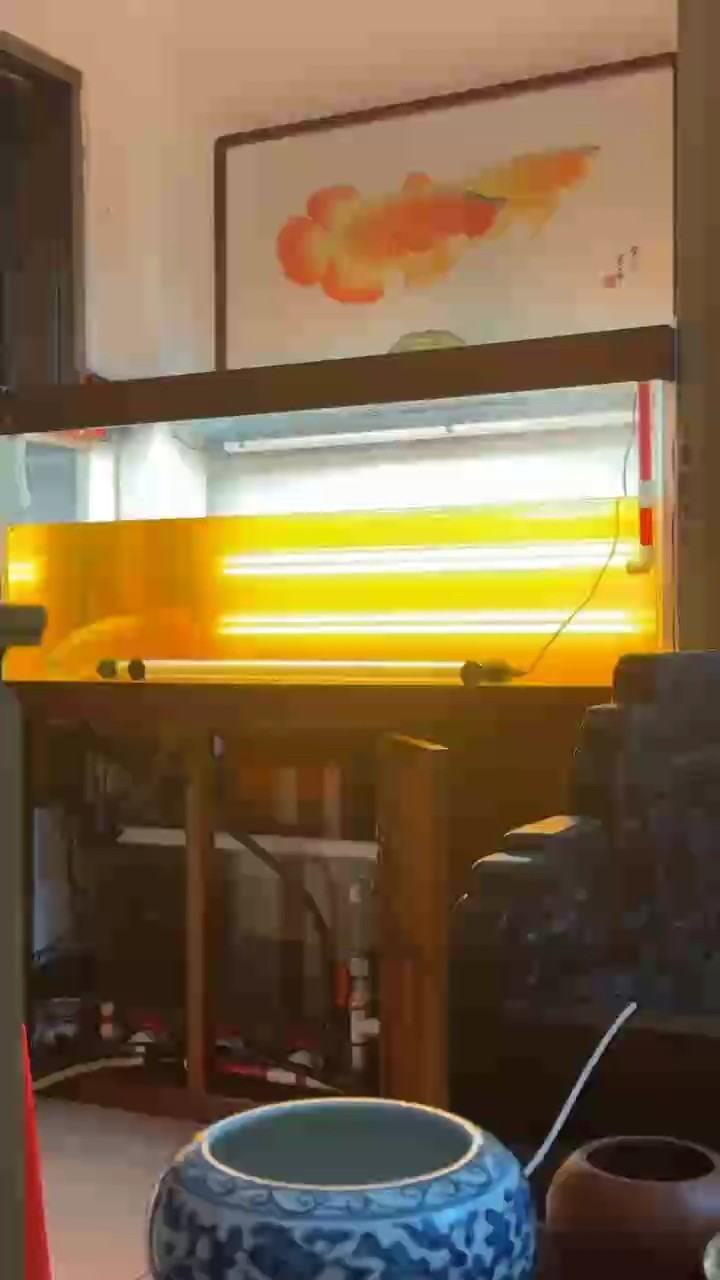 第二天側燈 第二天側燈 龍魚論壇