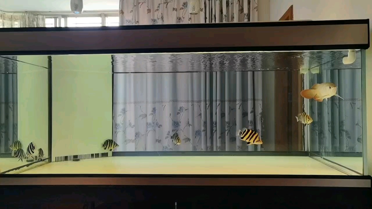 越來越明了！