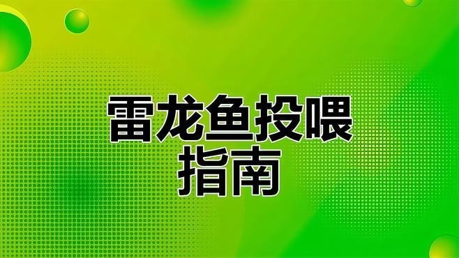 龍魚發色期應該如何投喂？