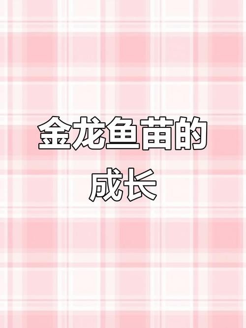 銀龍魚魚苗圖片大全大圖 龍魚百科 第35張 銀龍魚魚苗圖片大全大圖 銀龍魚魚苗圖片大全大圖 龍魚百科 第35張
