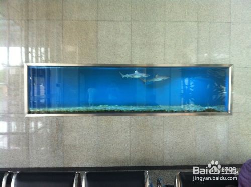 寧波市鎮(zhèn)海區(qū)駱駝浪濤水族館