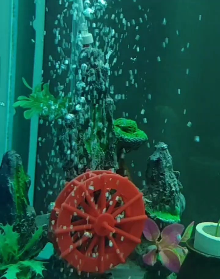 增氧氣泡表現的多樣性 增氧氣泡表現的多樣性 龍魚論壇