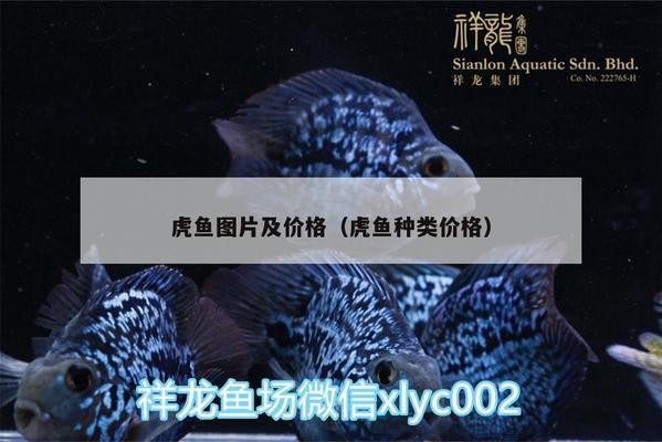 湟中縣多巴鎮(zhèn)新東方水族館（湟中縣多巴鎮(zhèn)新東方水族館電話）
