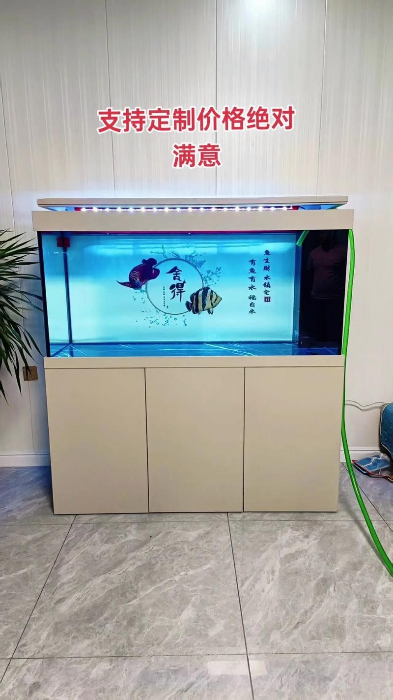 龍魚缸濾材怎樣擺放圖片大全