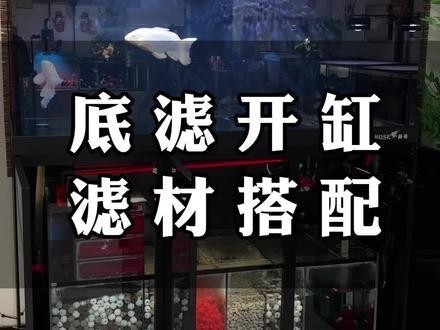 龍魚缸濾材怎樣擺放圖片大全