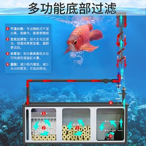 深圳左邦寵物用品有限公司（深圳左邦寵物用品有限公司怎么樣）