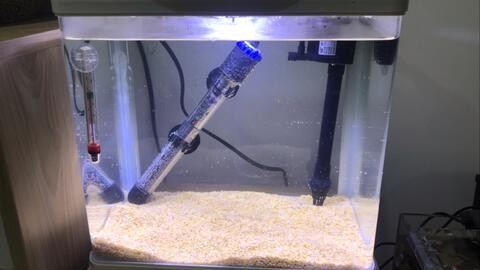寧德市蕉城區(qū)蕉北亞鯤水族館