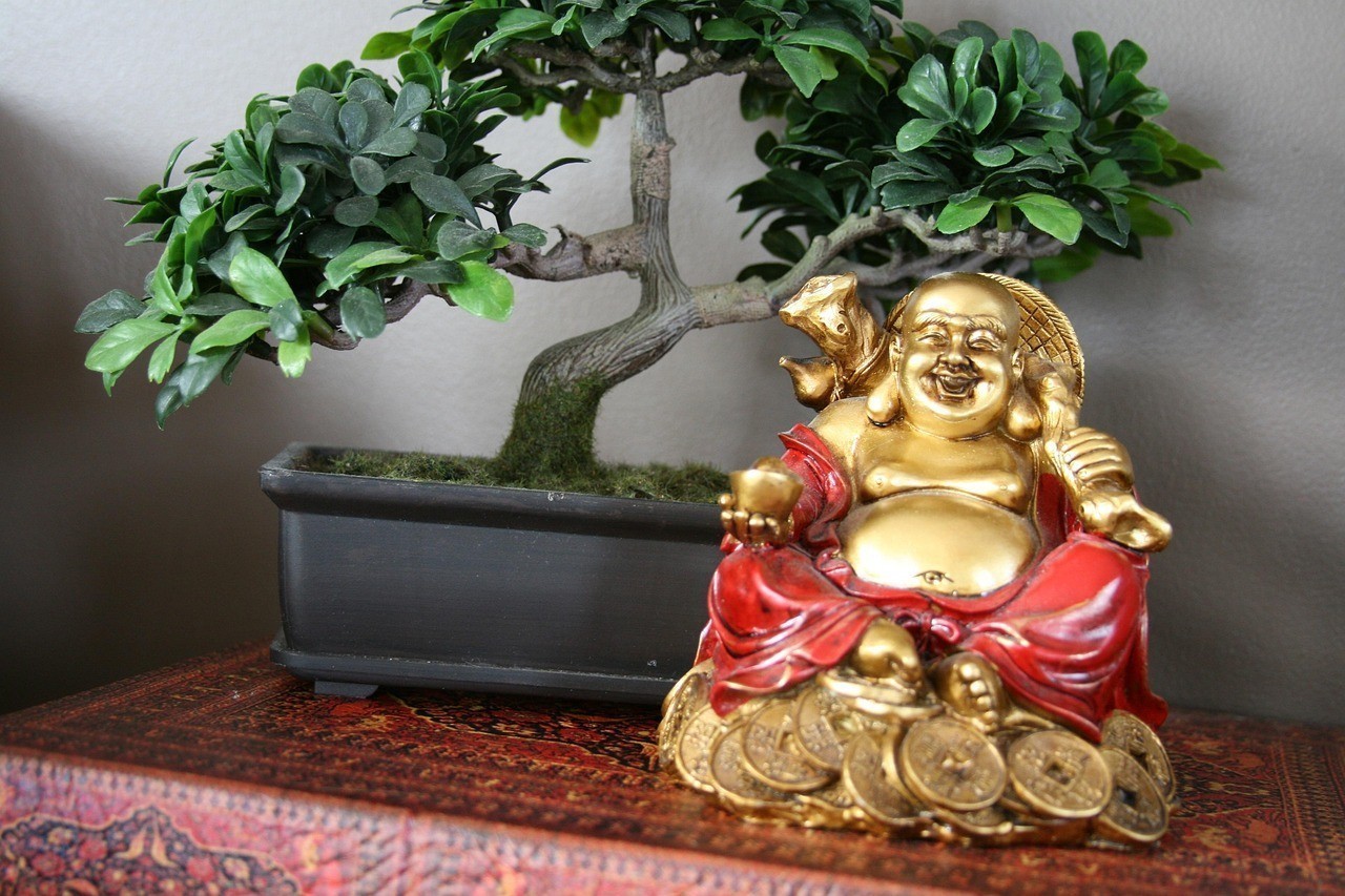 黑尾大勾風(fēng)水寓意好不好 龍魚論壇 第1張 黑尾大勾風(fēng)水寓意好不好 黑尾大勾風(fēng)水寓意好不好 龍魚論壇 第1張