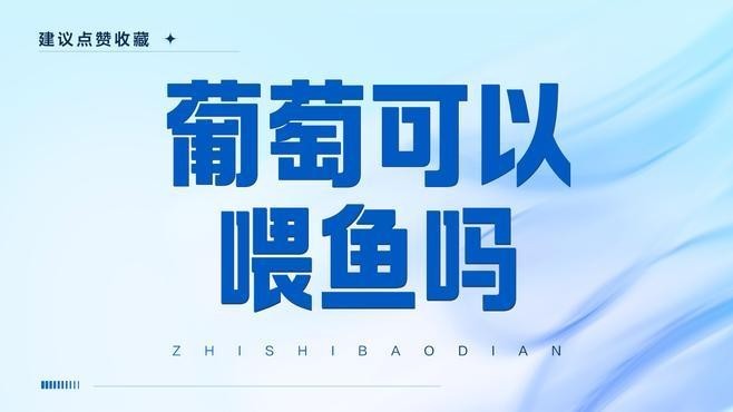 龍魚可以吃葡萄嗎