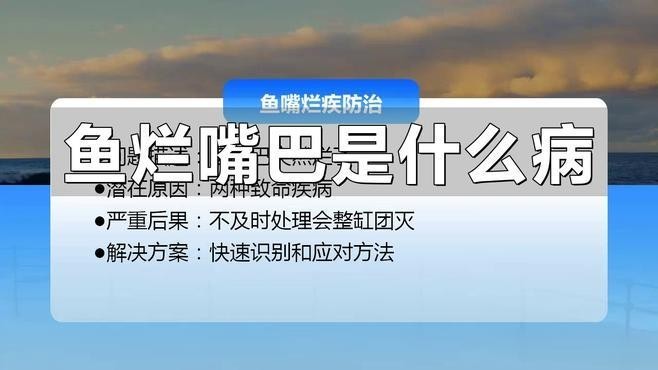 龍魚嘴爛怎么回事啊