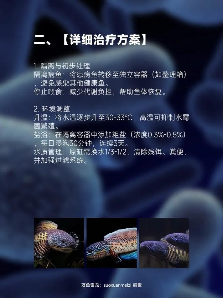 雷龍魚身上有白色絮狀物怎么辦圖片