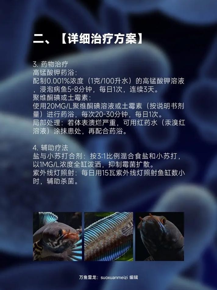 雷龍魚身上有白色絮狀物怎么辦圖片