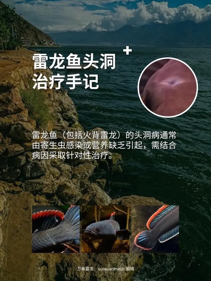 雷龍魚身上有白色絮狀物怎么辦圖片
